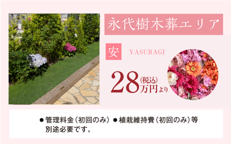 色とりどりの花に抱かれて眠る樹木葬。日差しを浴びて咲き誇る、鮮やかな花々に囲まれて眠る樹木葬式永代供養墓です。お一人様用とお二人様用をご用意しております